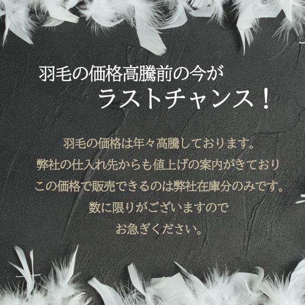 西川　羽毛布団　シングル　高級　おすすめ　掛布団　軽い あったかい 日本産 150×210　贈り物　F2043 値下げ　23年入荷　母の日　父の日｜lifestyleplus｜19