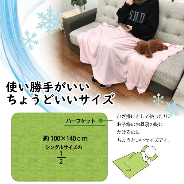 西川リビング サマーシルクハーフケット ブランケット 膝掛け 150×100