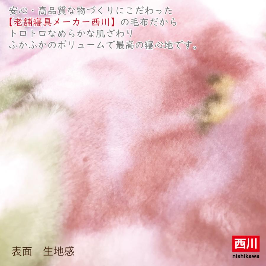 西川（nishikawa） 毛布 ダブル 180x210 衿付き合せ毛布 2枚合せ