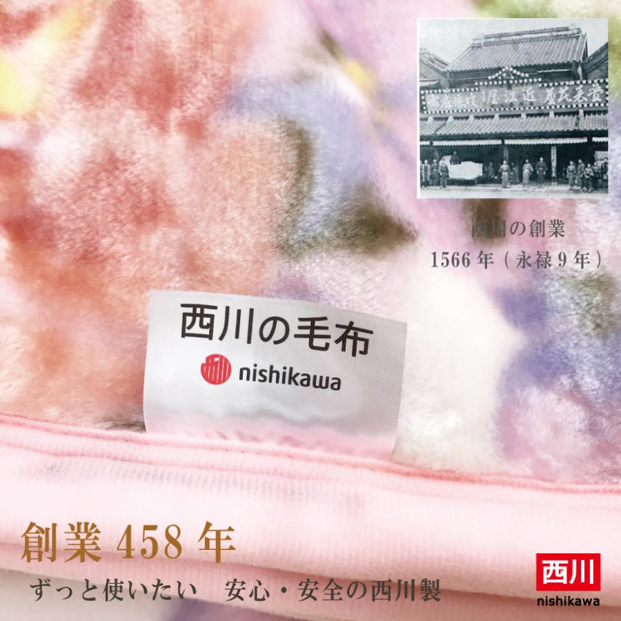 西川（nishikawa） 毛布 ダブル 180x210 衿付き合せ毛布 2枚合せ