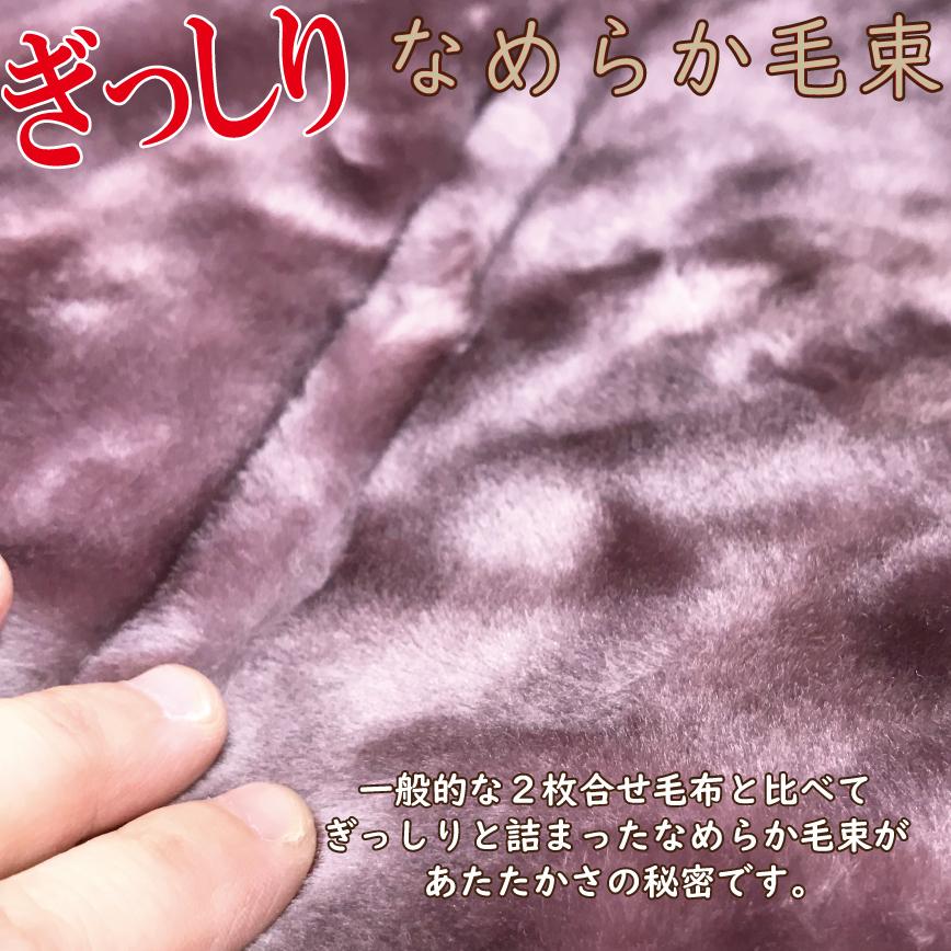 西川（nishikawa） 毛布 シングル 厚手 2枚合せ 2.5kg 140x200 ハイ