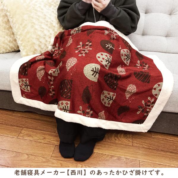 モダンなミニマリストのネットレッドカーペット北欧の厚い毛布 西川（nishikawa） ひざ掛け 2枚合わせ 冷え性 あったか ボア 70×100
