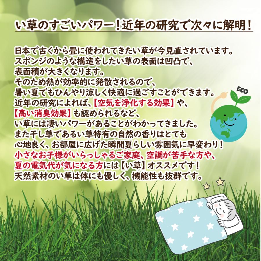 い草 座布団 クッション 55×55 綿入り 刺繍 高級 おしゃれ 夏 天然