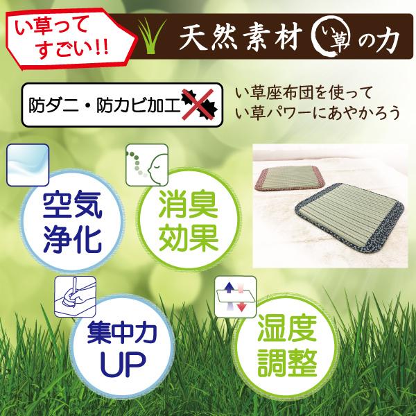 い草 座布団 クッション 55×55 正方形 ウレタンフォーム い草座布団