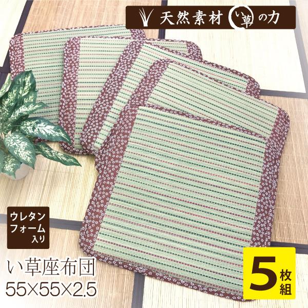 い草 座布団 クッション 55×55 5枚組 正方形 ウレタンフォーム い草