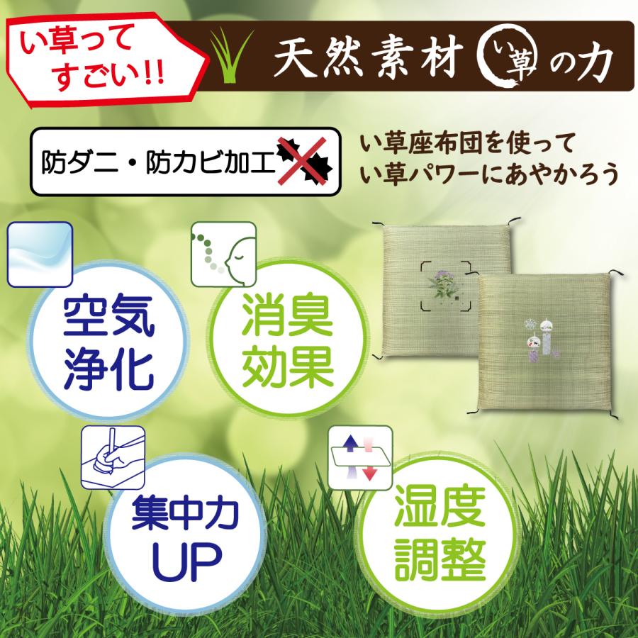 日本製 い草製 花柄座布団 約55x55cm 2種15枚セット 【公式通販】