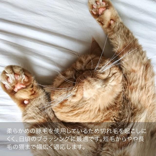 レデッカー 高級キャットブラシ 手入れ用リムーバー 毛取り セット豚毛 猫 毛 ブラシ 猫用ブラシ 53 s1 Lifestyle Home 通販 Yahoo ショッピング