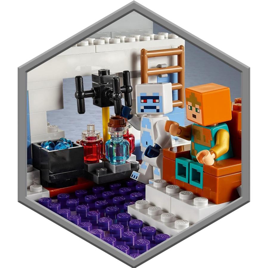 LEGO レゴ 21172 21186 マインクラフト 荒廃したポータル 氷の城