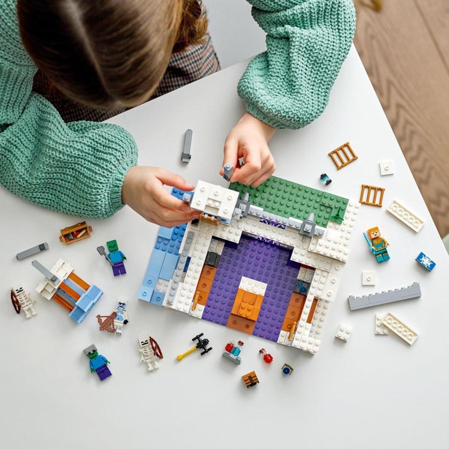 LEGO レゴ 21172 21186 マインクラフト 荒廃したポータル 氷の城