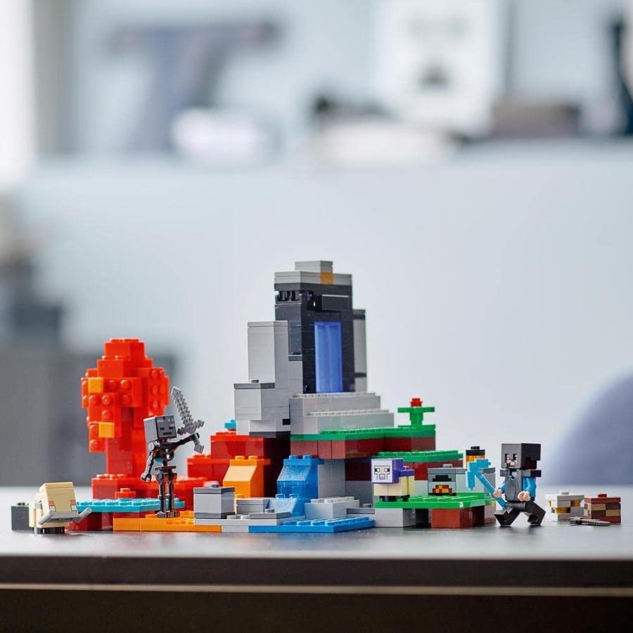 LEGO レゴ 21172 21186 マインクラフト 荒廃したポータル 氷の城