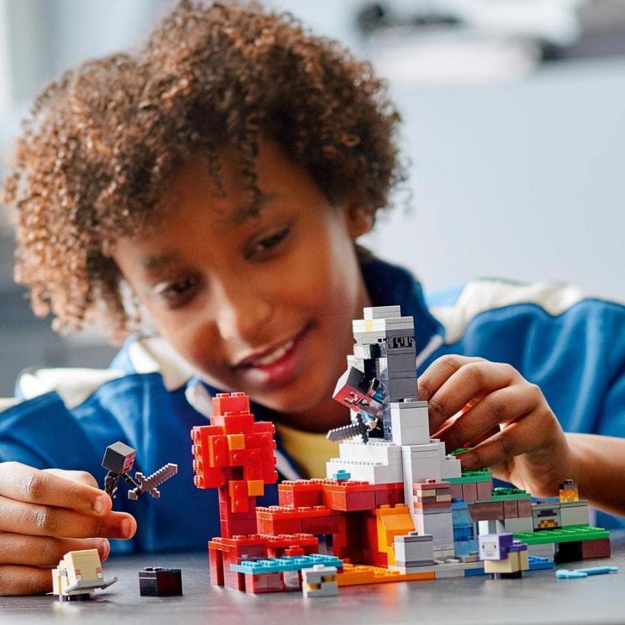 LEGO レゴ 21172 21186 マインクラフト 荒廃したポータル 氷の城