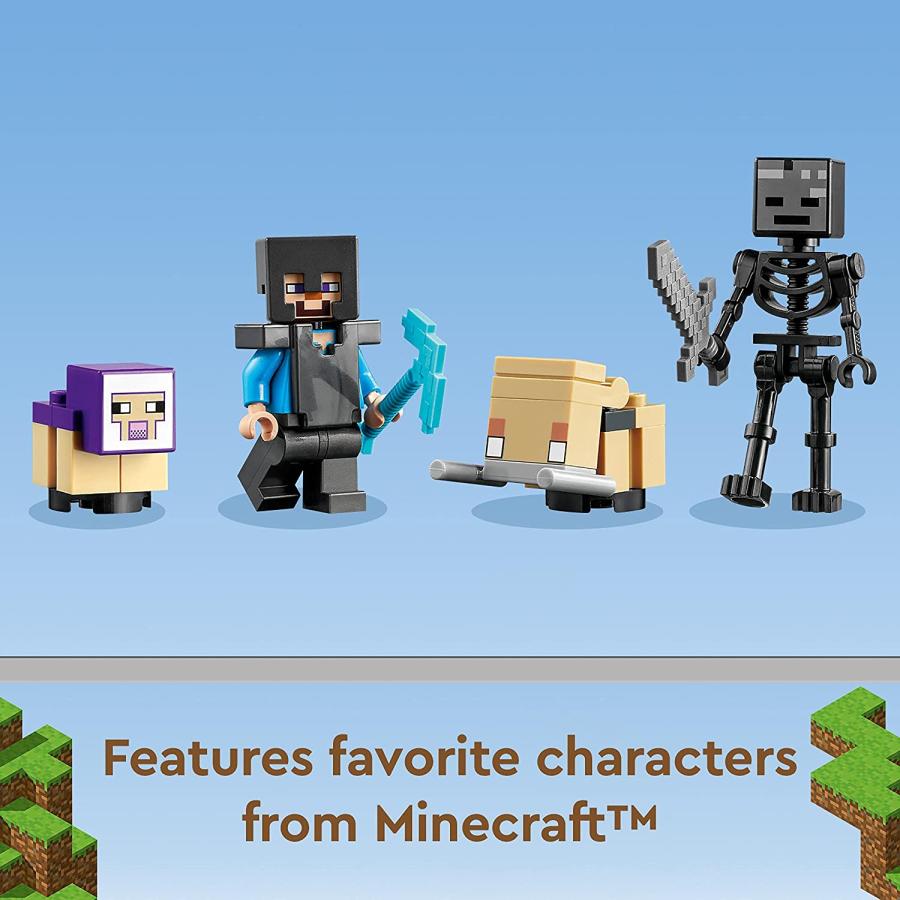 LEGO レゴ 21172 21186 マインクラフト 荒廃したポータル 氷の城