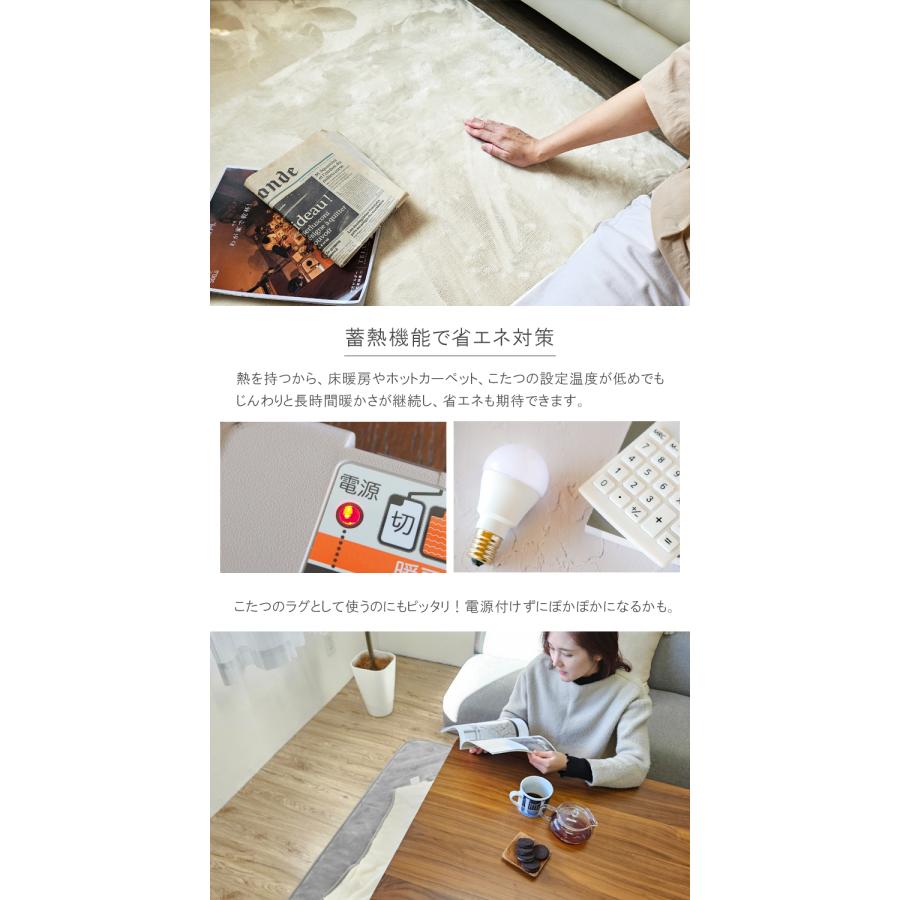 あったか 発熱 蓄熱 保湿 ラグ カーペット 190×240 長方形 秋 冬 保温