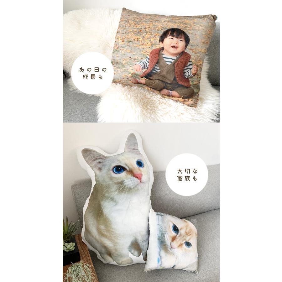 あの頃のペット用クッション