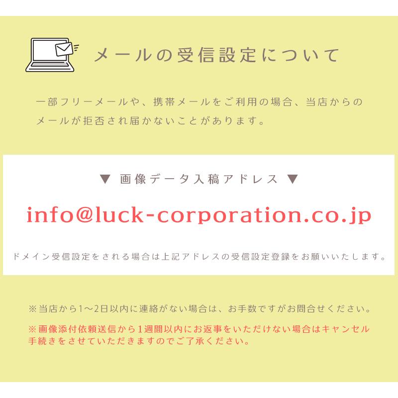 オリジナル ファイル オーダーメイド 1枚から クリアファイル オーダー
