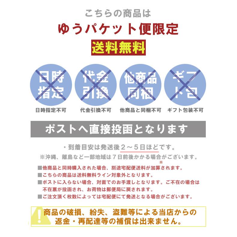 固定パイプ ソファーカバー 専用 5本セット ズレ防止 押し込み棒 固定 ずれない ゆうパケ｜lifetime｜06