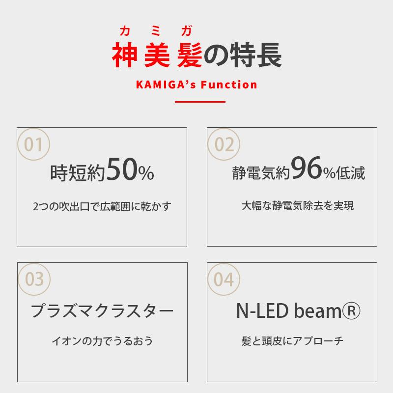 希少！！】 P.T.Dreamストアアデランス ヘアドライヤー ヘアリプロ N