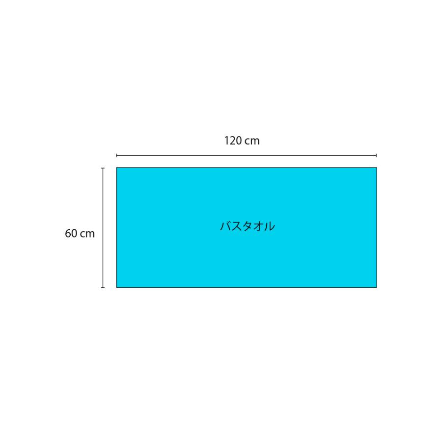 イレーズ　ERASE　バスタオル　60×120cm　1枚　抗菌　防臭　タオル　濃色 |  | 10