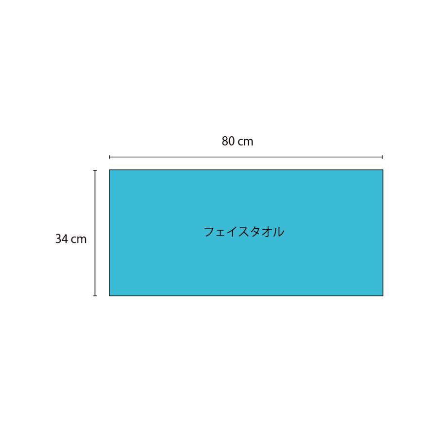 イレーズ　ERASE　フェイスタオル　34×80cm　抗菌　防臭　タオル　同色2枚セット　薄色 |  | 10