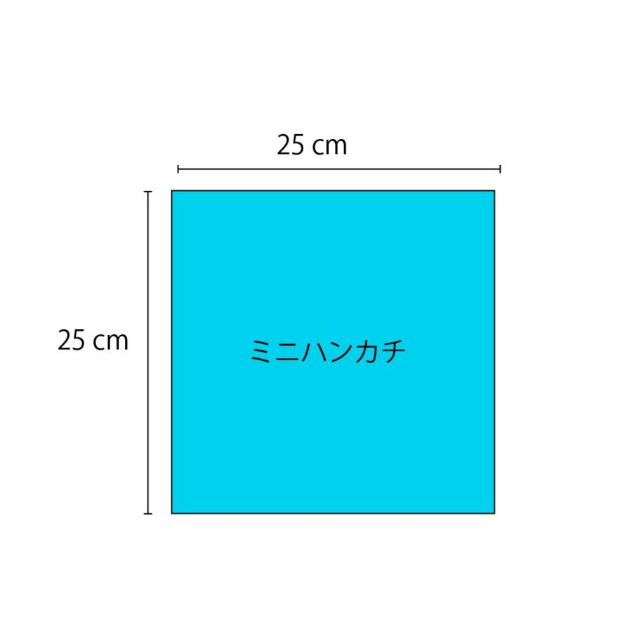 （クリックポスト1セット5枚まで可）イレーズ　ERASE　ハンカチ　25×25cm　抗菌　防臭　タオル　5枚セット |  | 16