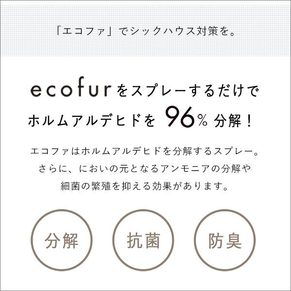 エコファシックハウス対策スプレー(300mlタイプ)有害物質の分解、抗菌、消臭効果【ECOFUR】24本セット_1
