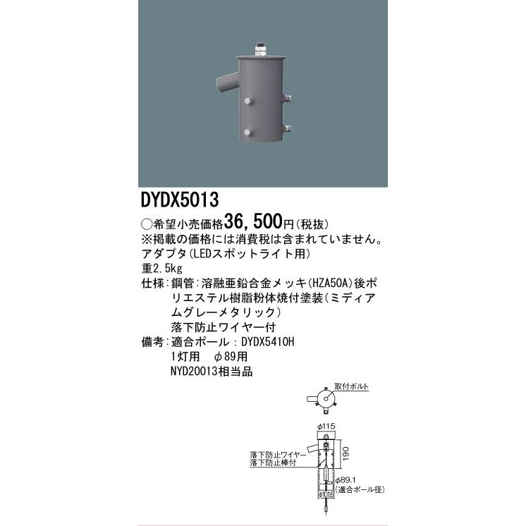Panasonic（パナソニック） [法人限定][即納在庫有り] DYDX5013 投光器