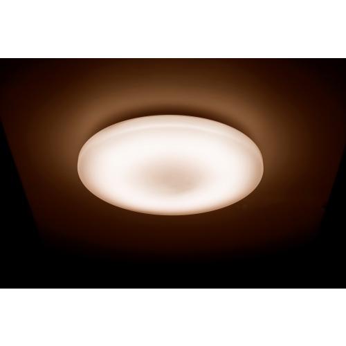 Luminous LED ○[即納在庫有り] DB45-A12DS ドウシシャ LuminousLED