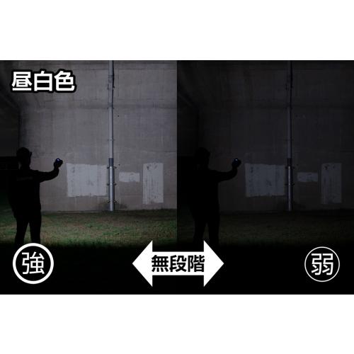 GENTOS（ジェントス） ○[即納在庫有り] GZ-308 GENTOS Ganz LED