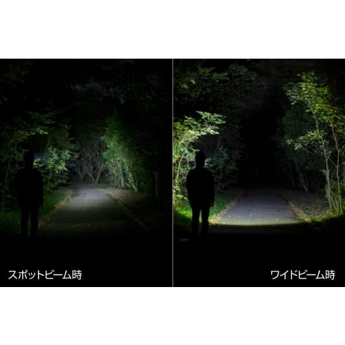 GENTOS（ジェントス） ○[即納在庫有り] WS-743HD GENTOS W STAR LED