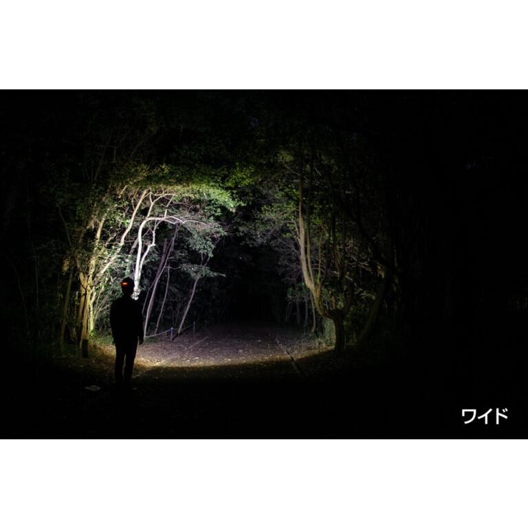 ♡送料無料♡ GENTOS GH-203RG ヘッドランプ ※1台限定販売！ GH-203RG - GENTOS