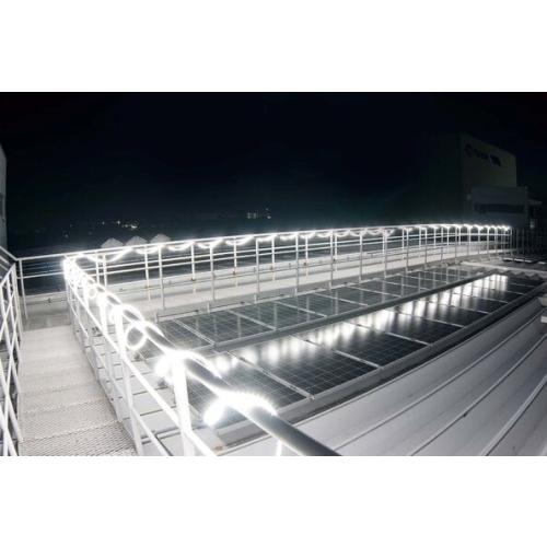 HATAYA ○[即納在庫有り] LTP-5DS ハタヤ LEDテープライト 両面