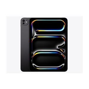 iPad Pro 11インチ Wi-Fi 256GB 2024年春モデル MVV83J/A [スペース