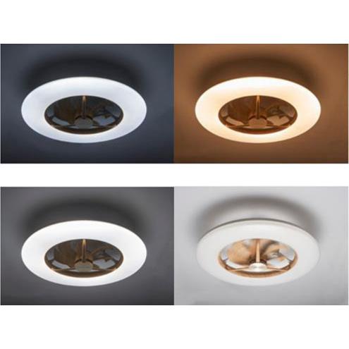 DOSHISHA ドウシシャ LEDシーリングサーキュレーター サーキュライト  