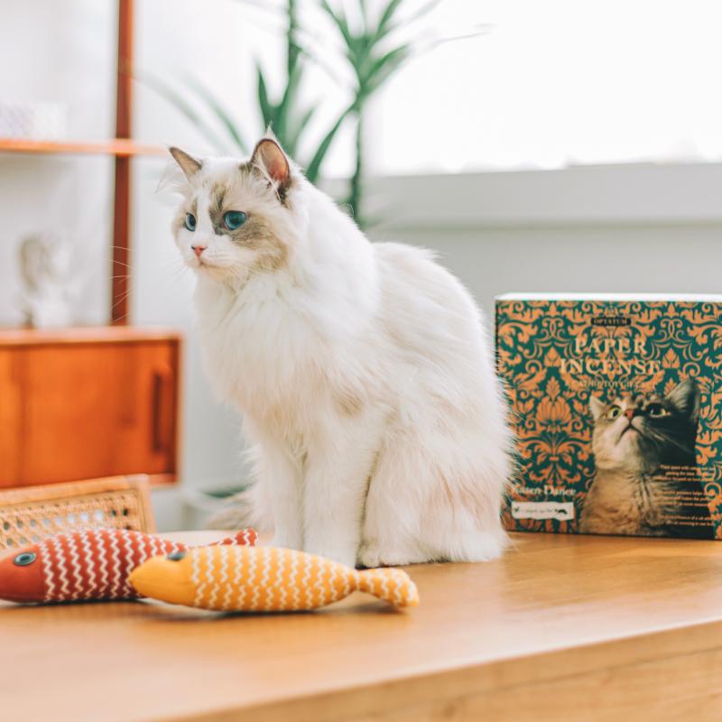 Limp stick】猫 メインクーン インテリア アクリル画 BAEZ3 Limp stick