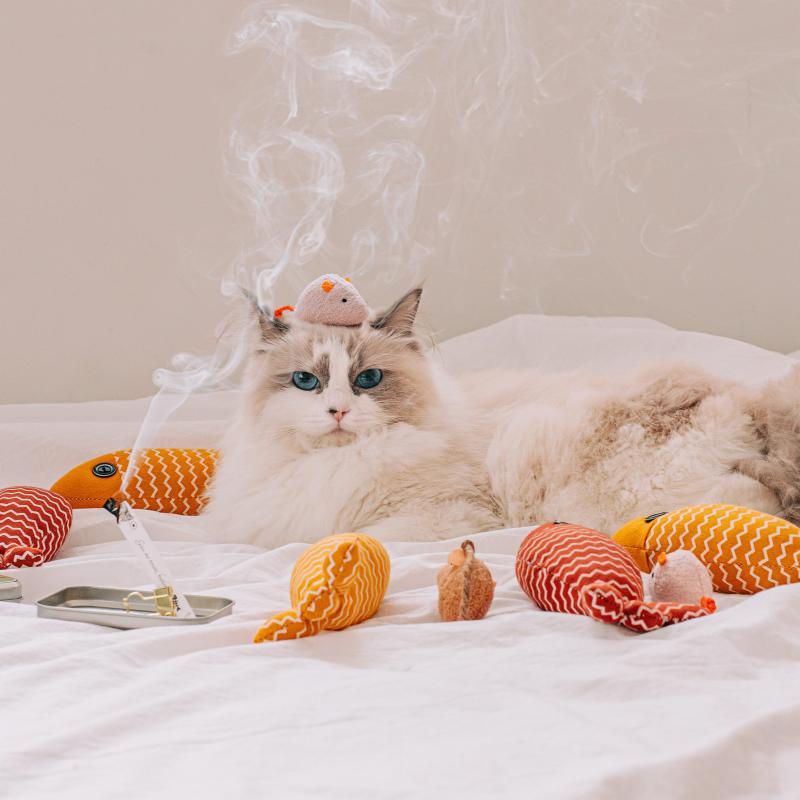 OPTATUM ペーパーインセンス VER.CAT ギフトセット 猫ちゃん ペット