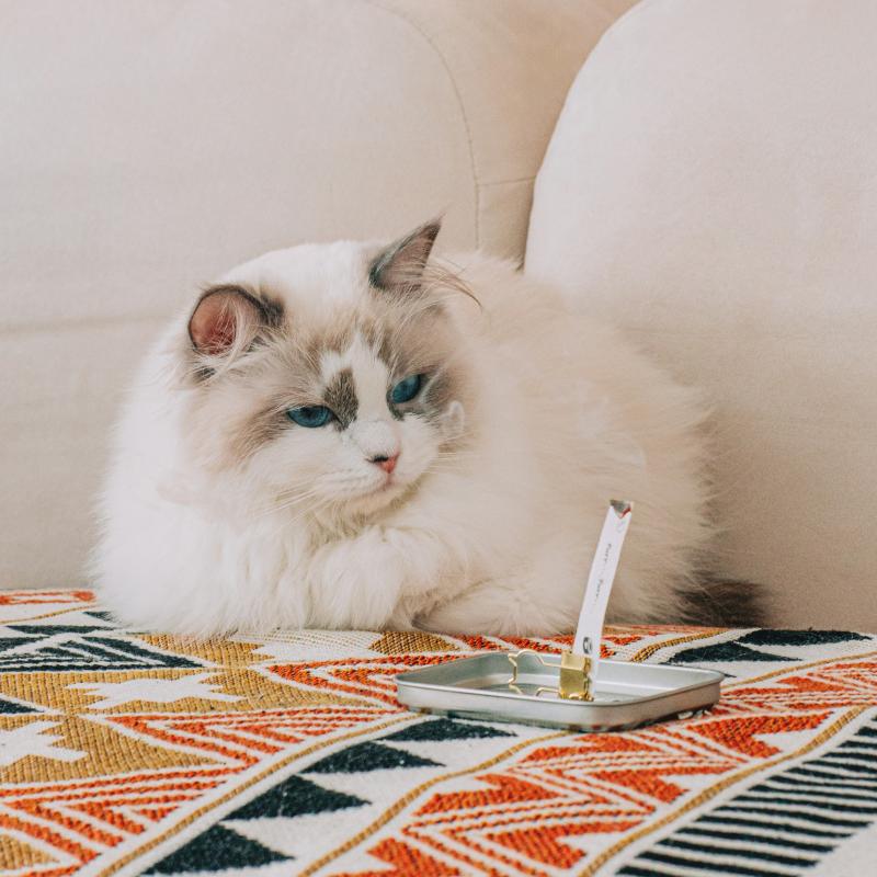 公式 オプタウム ペーパーインセンス VER.CAT ギフトセット 猫ちゃんと