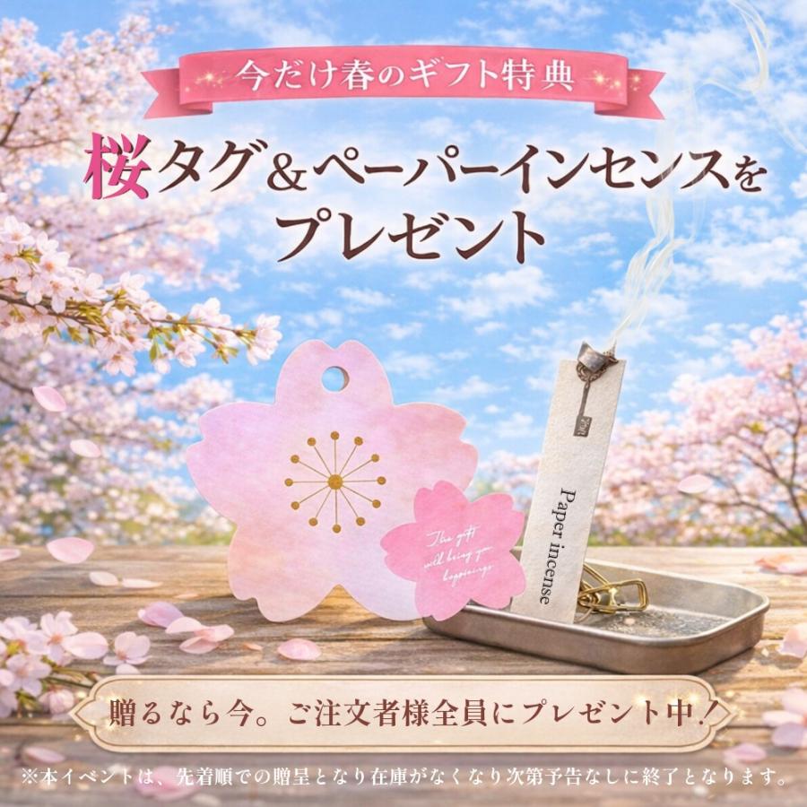 公式 オプタウム ユニバースドリーム100ml ピローミスト ギフトセット