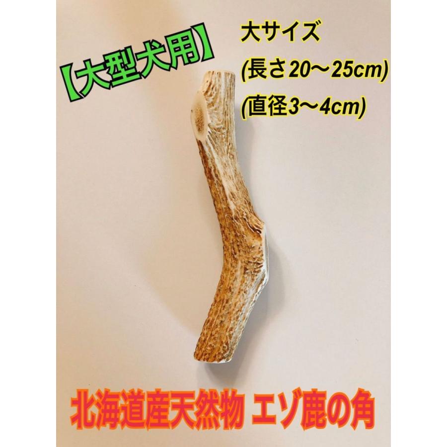 鹿の角 大きいサイズ 送料無料税込価格 犬のおもちゃ 鹿角ガム 鹿角 歯磨き 犬のガム 噛むおもちゃ 犬用ガム 犬用おもちゃ ドッグガム S 1 ライト ワン 通販 Yahoo ショッピング
