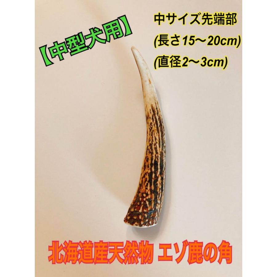 鹿の角 中サイズ先端部 送料無料 税込価格 犬のおもちゃ 鹿角ガム 歯磨き 犬用おもちゃ 犬用ガム 噛むおもちゃ 鹿角 希望者のみラッピング無料 ドッグガム 犬のガム