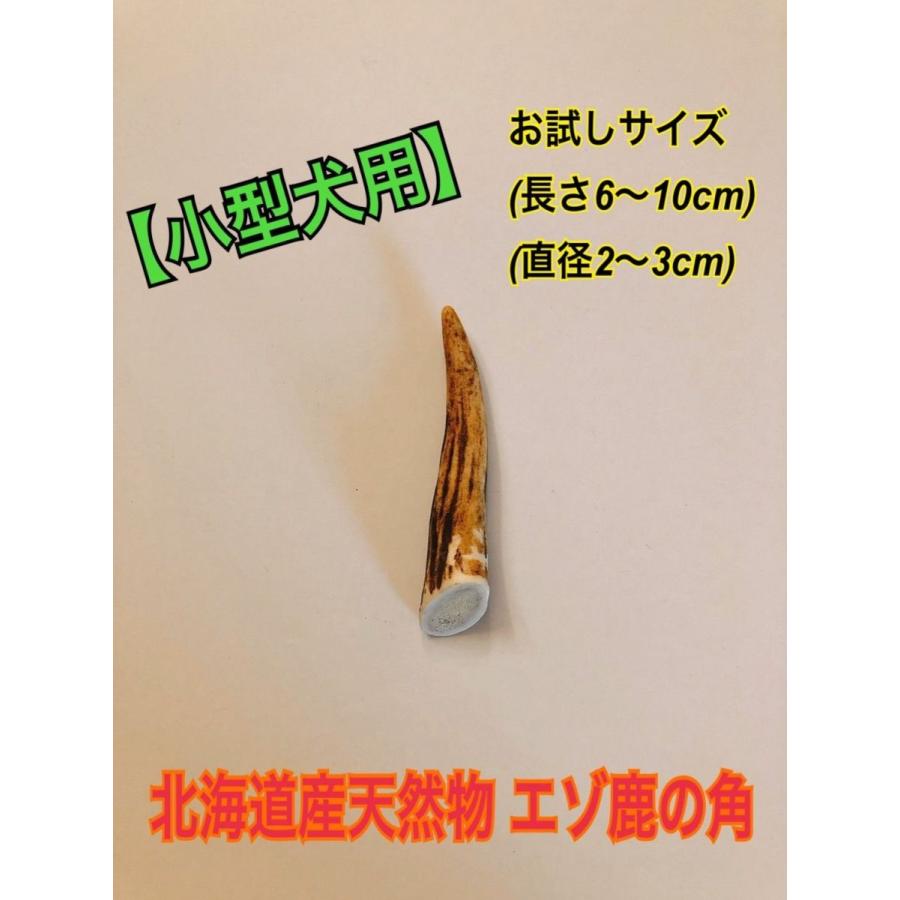 鹿の角 犬のおもちゃ 鹿角ガム 犬用おもちゃ 歯磨き 犬 ギガランキングｊｐ
