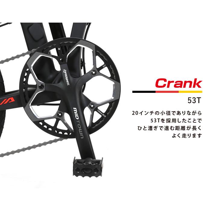 SAVANE フルカーボンフレーム 折りたたみ自転車 20インチ 前後