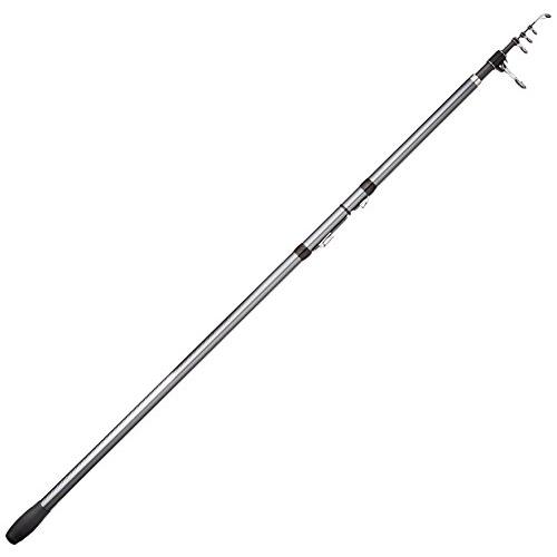 シマノ(SHIMANO) ロッド 投げ竿 17 ホリデースピン (振出) 405DXT 軽快