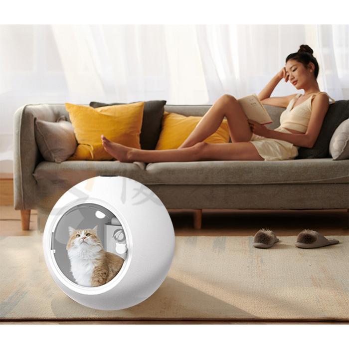 ペット乾燥箱 乾燥ハウス ドライルーム 全自動 自動ドライボール 犬 猫 完全密閉 ドライヤー 600Ｗ 50L 大容量 犬 猫 小型犬用 お風呂後 マイナスイオン 猫 犬 大容量 マイナスイオン