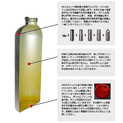 シグ(SIGG) アウトドア 水筒 軽量 スイス製アルミボトル トラベラー