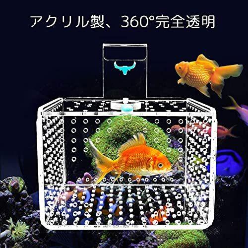 おすすめネット Highawk小魚 水槽 ハンギング 隔離ボックス 繁殖 稚魚 保護 水族館 産卵箱 壁掛け 透明 取り付け簡単 アクリル 魚 Fundaterapia Com