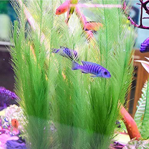 お気に入り レイアウト用品 Yffsfdc 水草 32cmフィッシュタンク人工水草 水槽飾り癒し水景 ベタ プラスティック製おやすみリーフ ベタ 3点セット