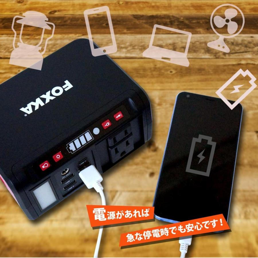 メーカー純正品】ポータブル電源 74wh 20000mAh 80w 家庭用蓄電池 1年