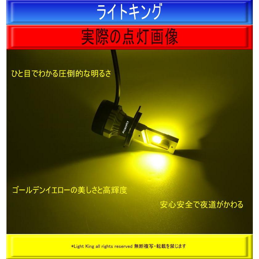世界最強クラス】ライトキング【送料無料】爆光 35800カンデラ