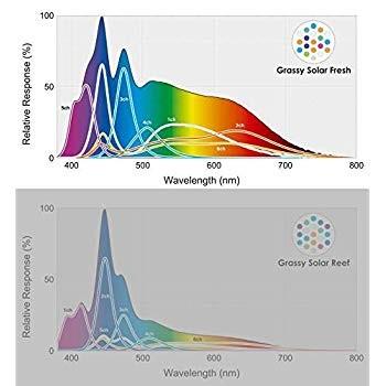 ボルクスジャパン グラッシー ソーラー フレッシュ 淡水 水草用 Kisumupoly Ac Ke