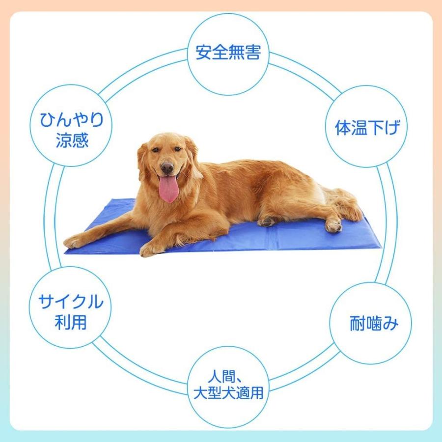 スピード対応 全国送料無料 Primavera洗えるペットシーツワイドサイズトイレシート犬猫いぬねこ小動物犬うさぎ小型犬中型犬大型犬 Caraubas Rn Gov Br
